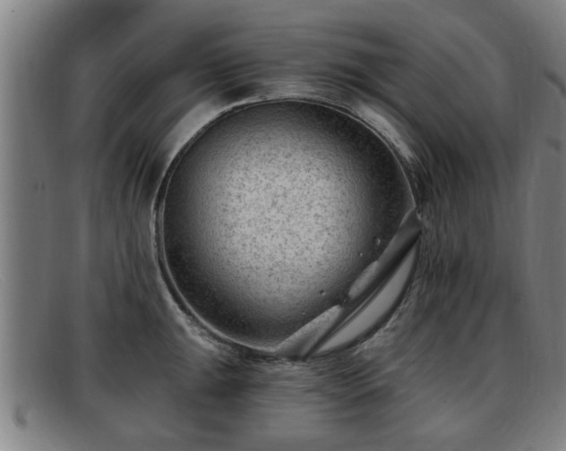 X0000091851047200709121307