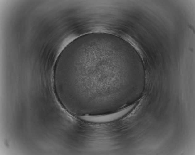 X0000091851048200709121307