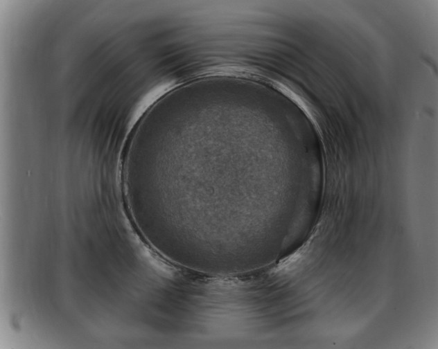 X0000091851050200709121307