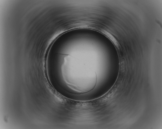 X0000091851051200709121307