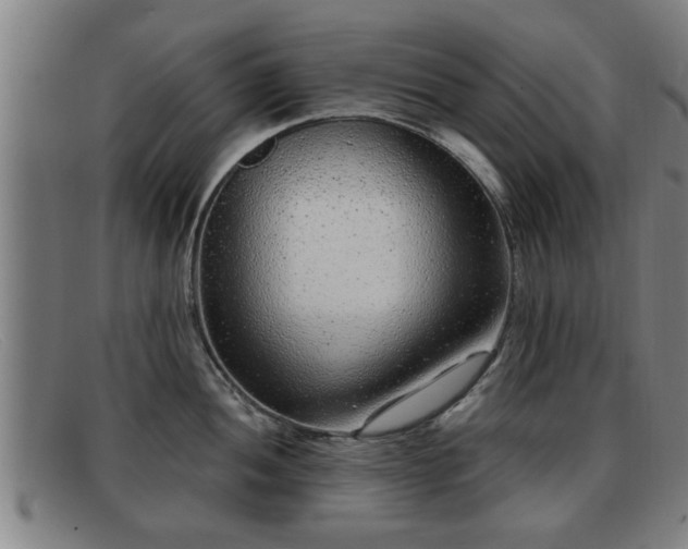 X0000091851052200709121307
