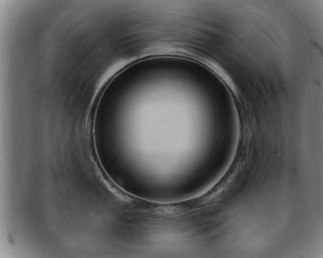 X0000091851053200709121307