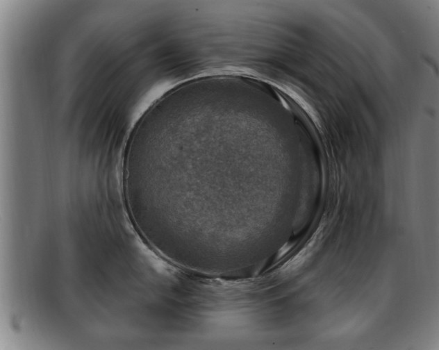 X0000091851054200709121307