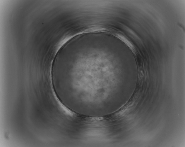 X0000091851055200709121307