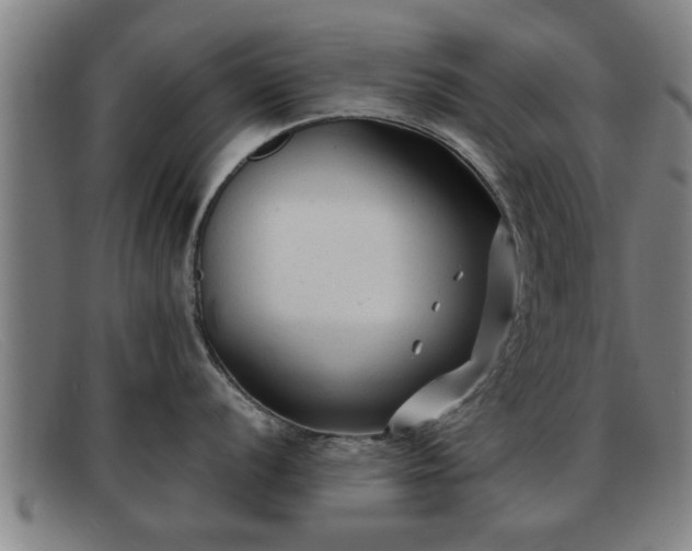 X0000091851056200709121307