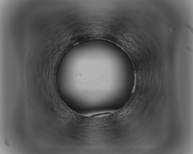 X0000091851057200709121306
