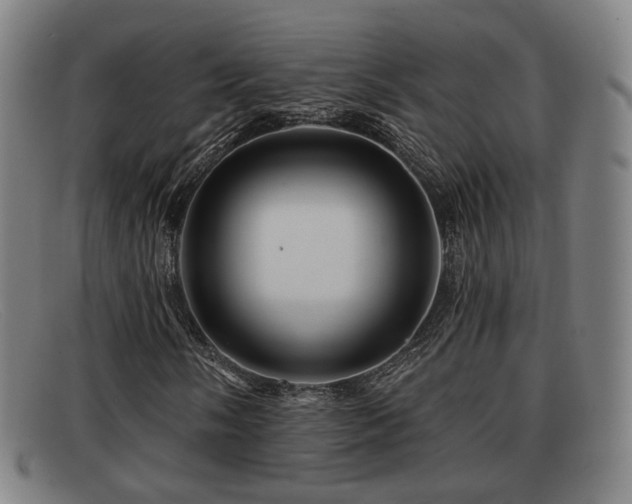 X0000091851058200709121306