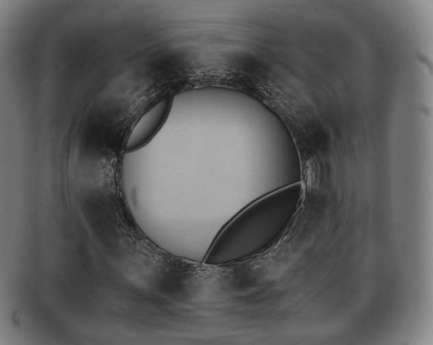 X0000091851059200709121306