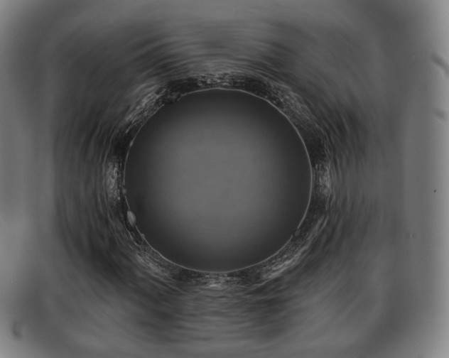 X0000091851060200709121306