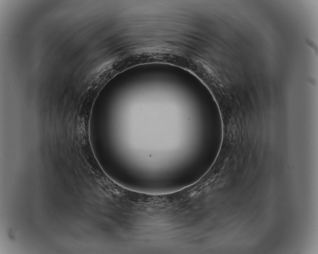 X0000091851062200709121306