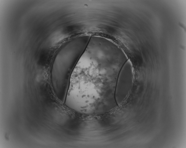 X0000091851063200709121306