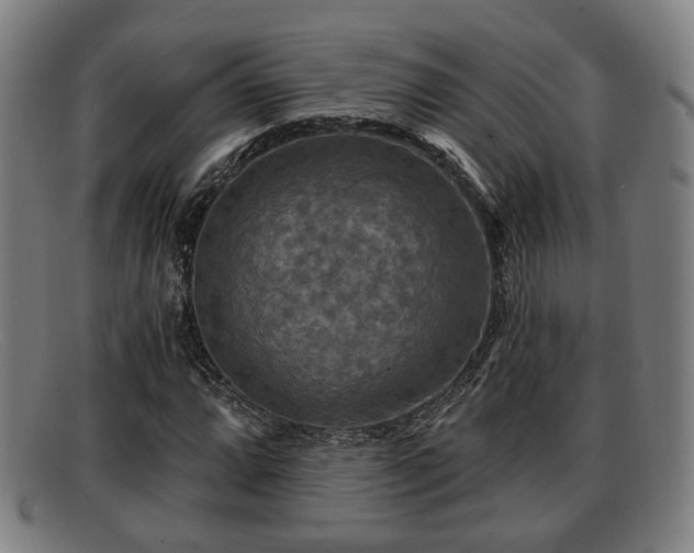 X0000091851064200709121306