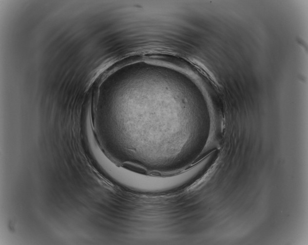 X0000091851065200709121306
