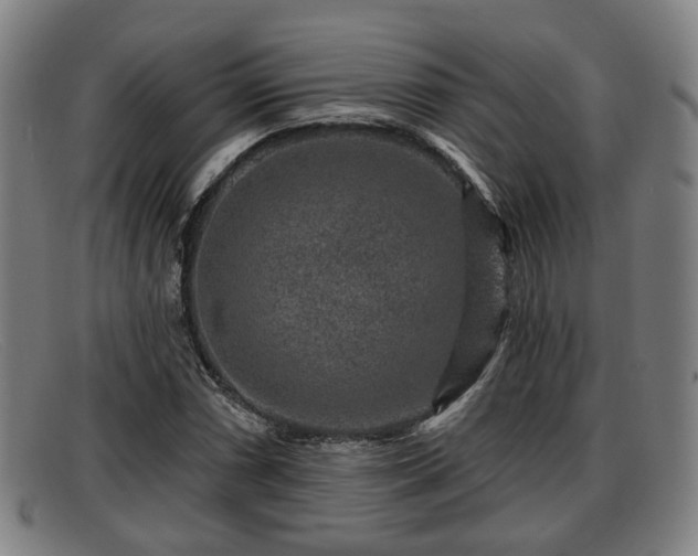 X0000091851066200709121306