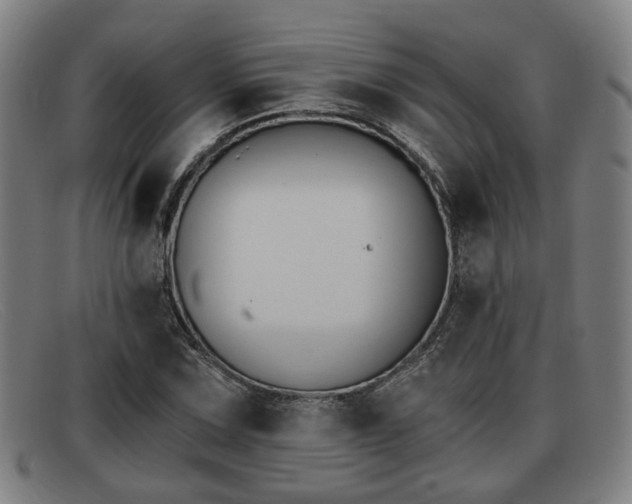 X0000091851067200709121306