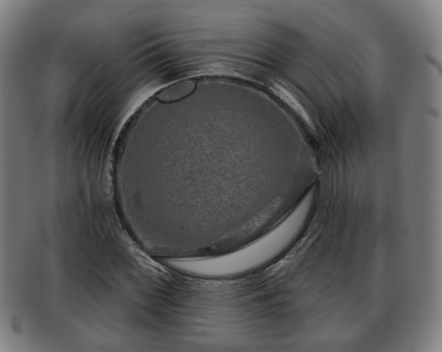 X0000091851068200709121306