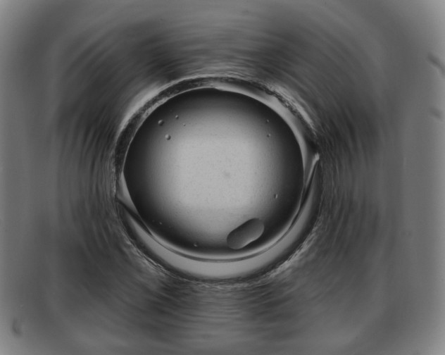 X0000091851069200709121306