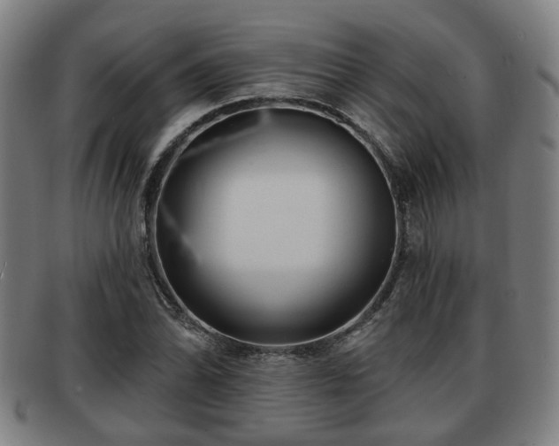 X0000091851070200709121306