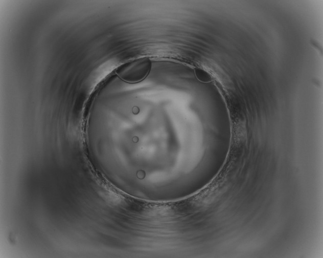 X0000091851071200709121306