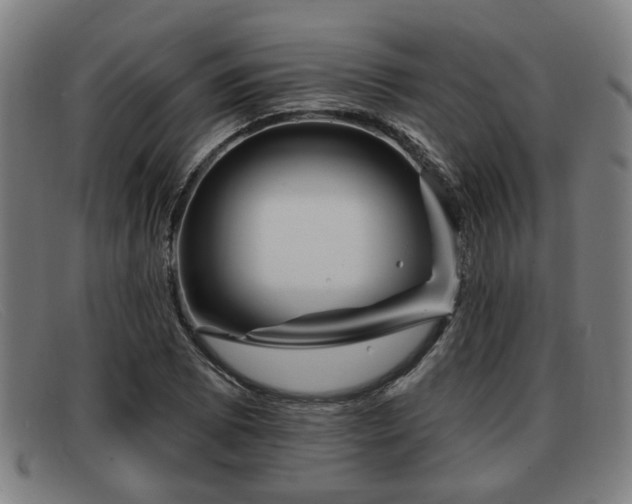 X0000091851073200709121306