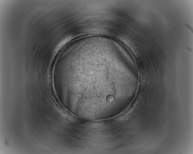 X0000091851074200709121306