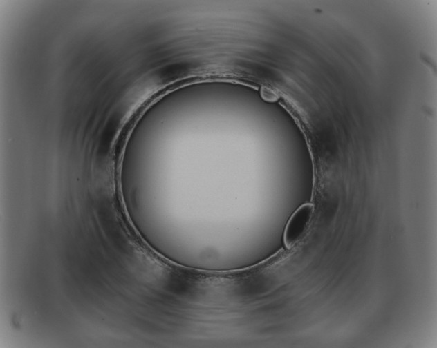 X0000091851075200709121306