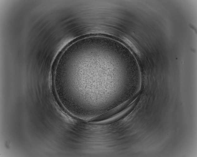 X0000091851076200709121306