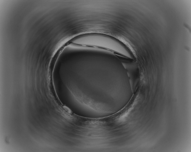 X0000091851077200709121306