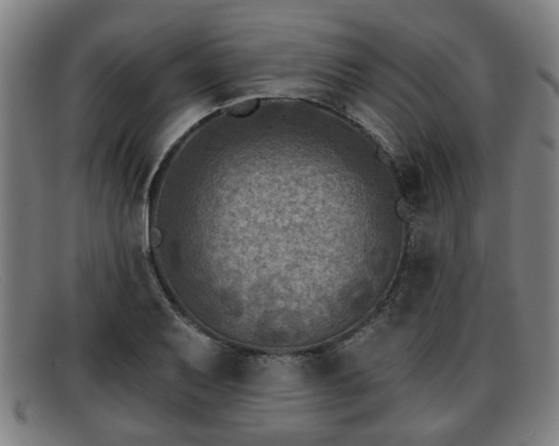 X0000091851079200709121306
