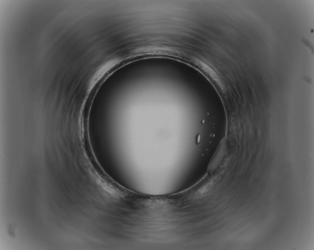 X0000091851082200709121306