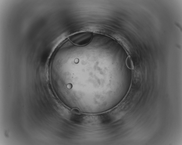 X0000091851083200709121306