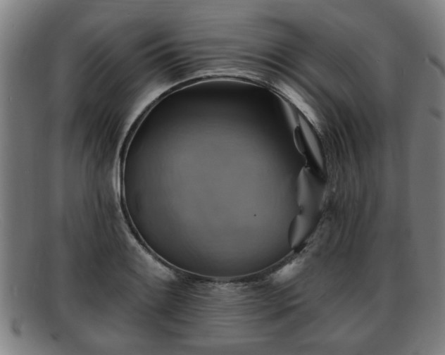 X0000091851084200709121306