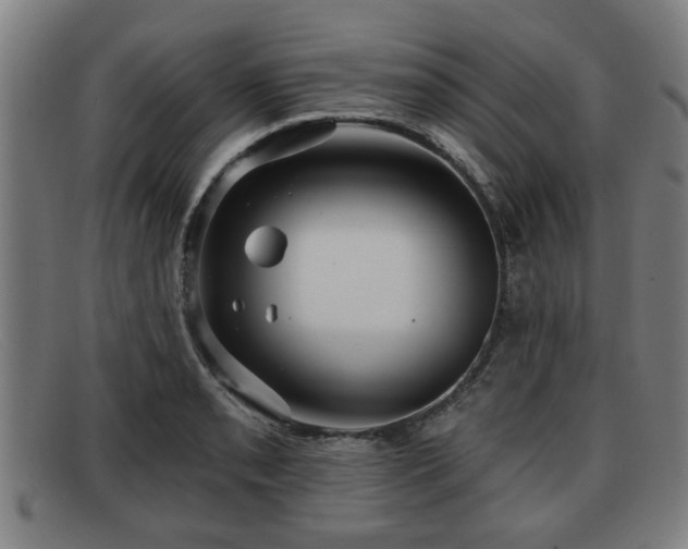 X0000091851085200709121306
