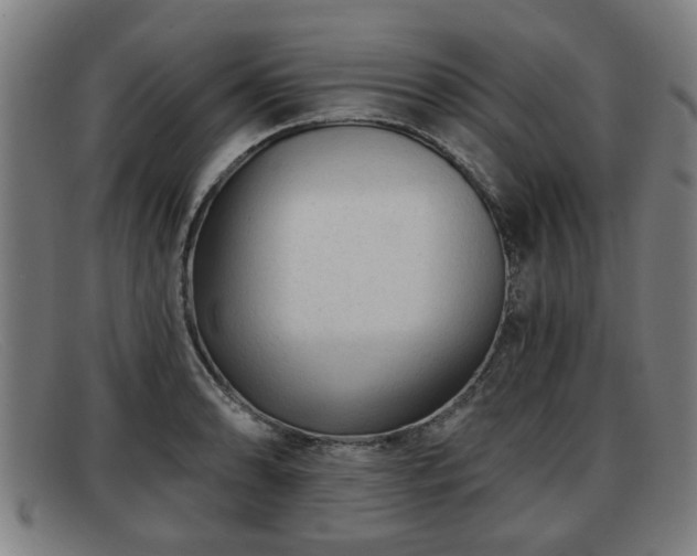X0000091851086200709121306
