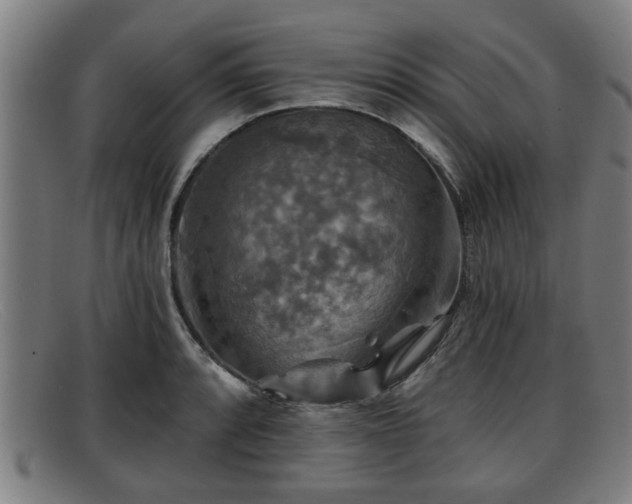 X0000091851088200709121306
