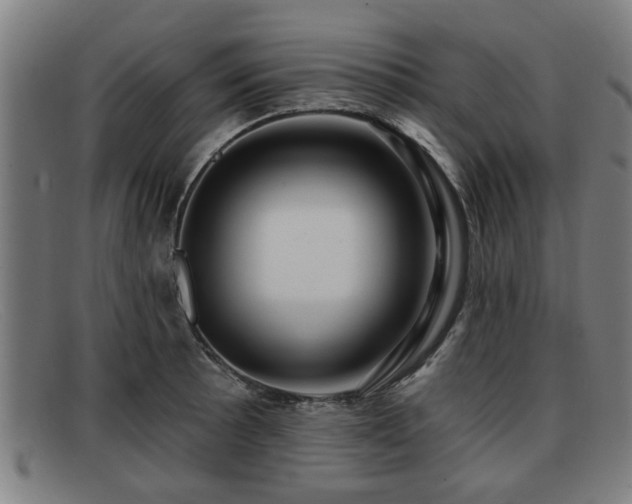 X0000091851089200709121306