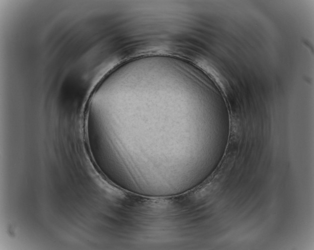 X0000091851090200709121306