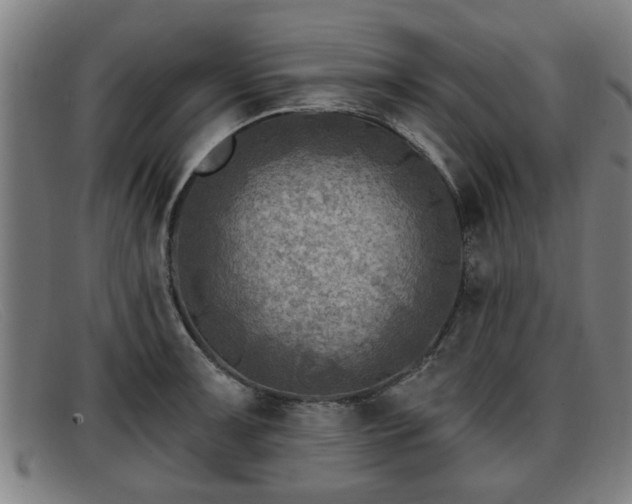 X0000091851091200709121306