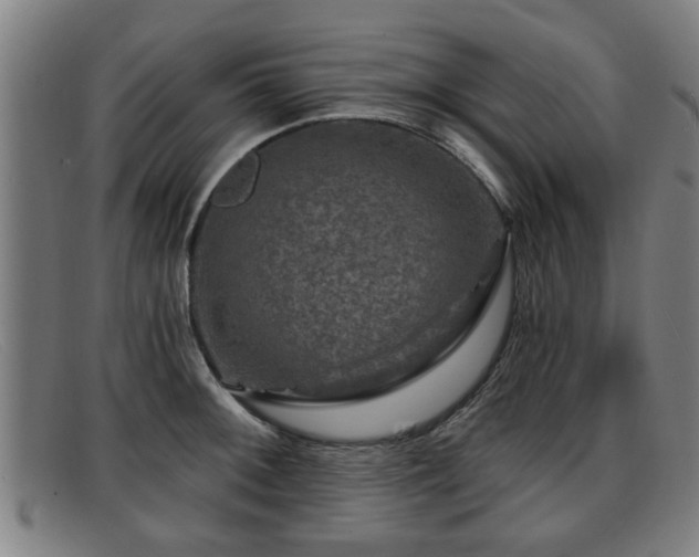 X0000091851092200709121306