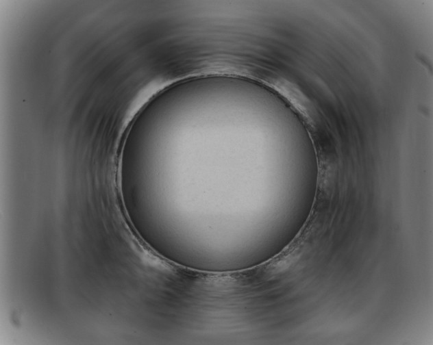 X0000091851094200709121305