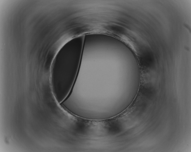 X0000091851095200709121305
