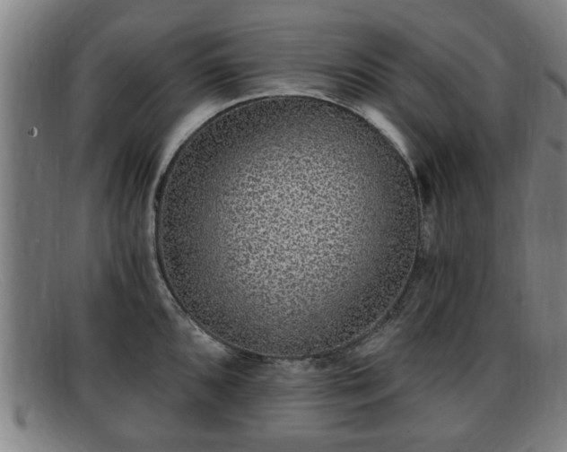 X0000091851096200709121305