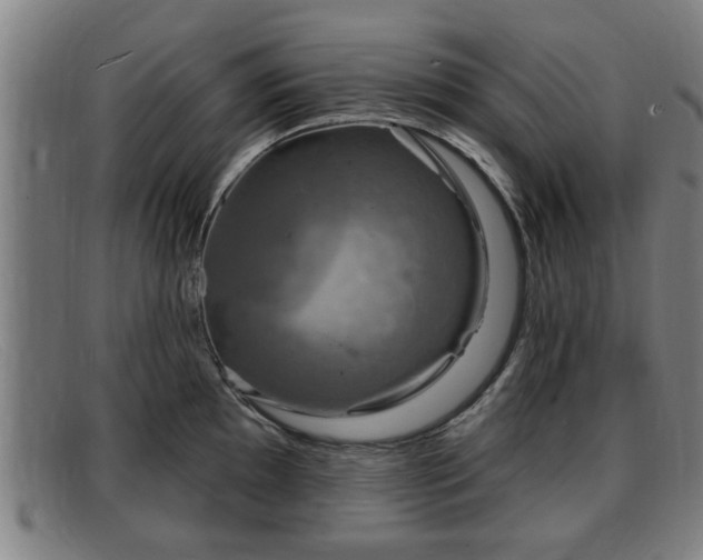 X0000091851097200709121305