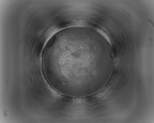 X0000091851099200709121305