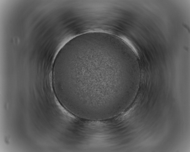 X0000091851100200709121305