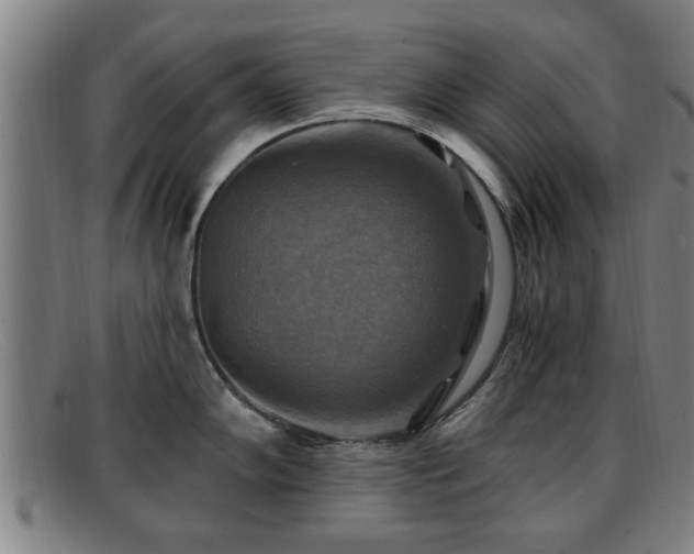 X0000091851102200709121305