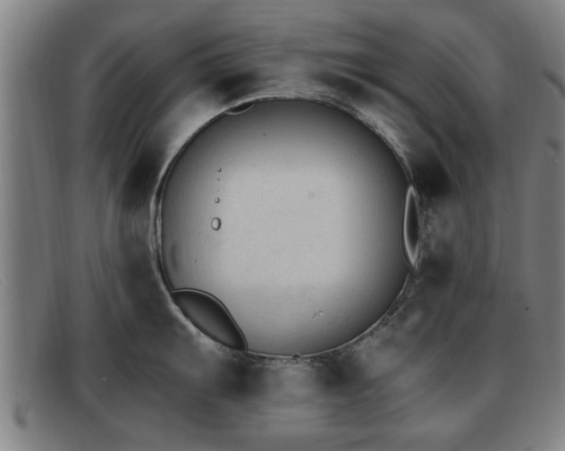 X0000091851103200709121305