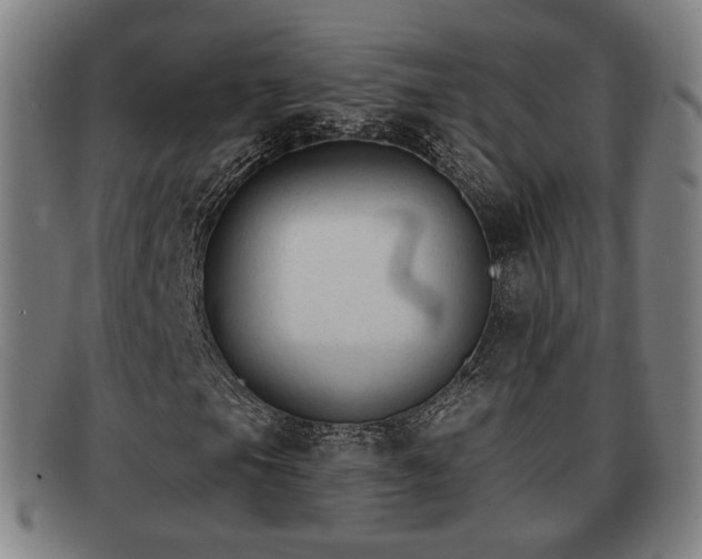 X0000091851105200709121305