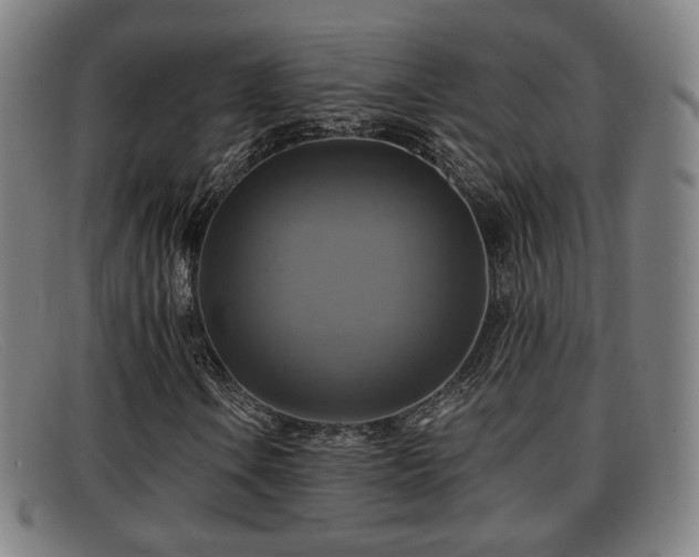X0000091851106200709121305