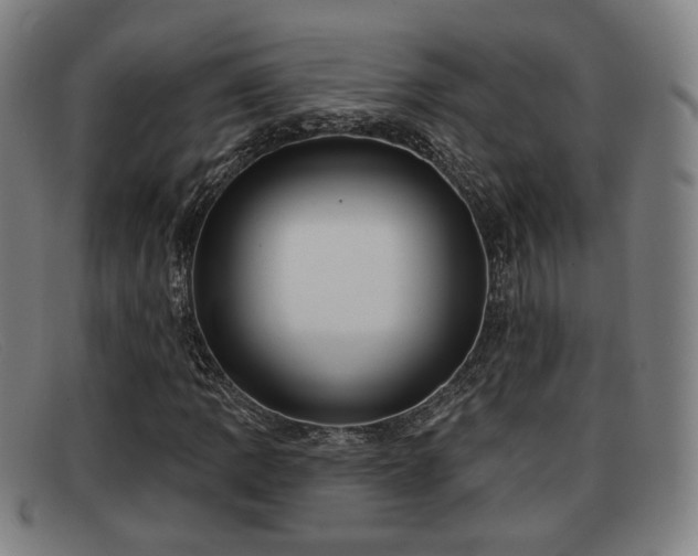 X0000091851109200709121305